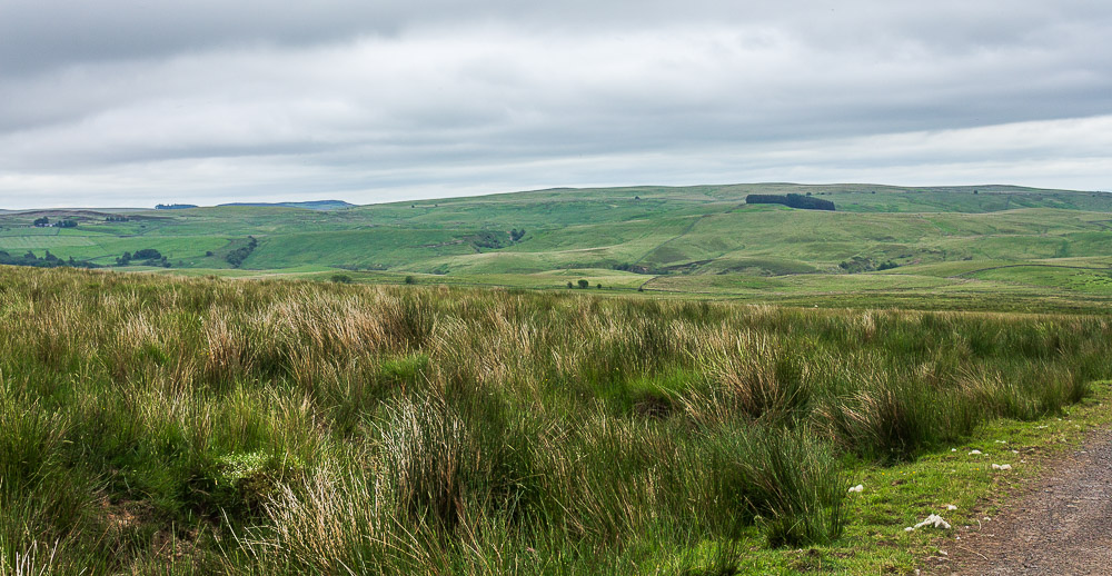 Whitley Pike Whitley Pike